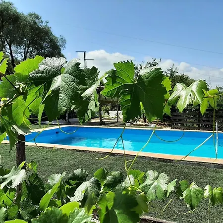 Casa vacanze In Mit Grossem Pool Ubrique